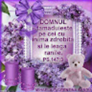 Meet your Posher, Vali